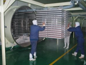 Mesin Lyophilizer Pengering Pembekuan Vakum untuk Makanan dan Sayuran Industri