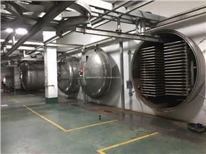 Mesin Pengeringan Pembekuan Makanan Vakum Harga Rendah