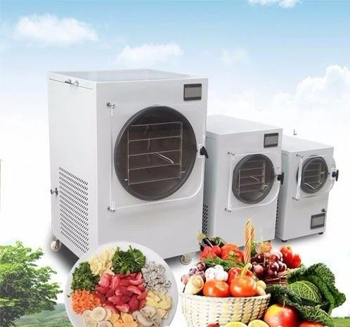Vacuum Food Freeze Dryer wholesale