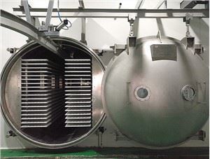 Pengering Beku Buah Sayur Teh Hijau Elektrik