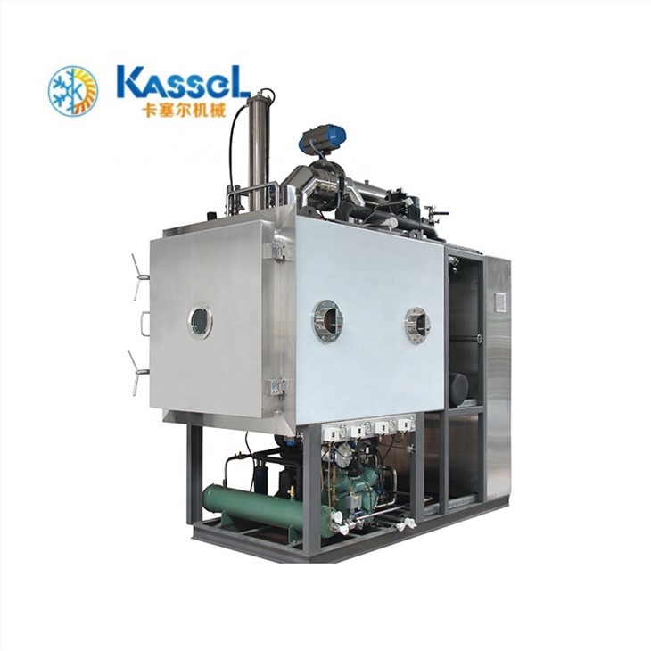 Mesin Pengeringan Beku Strawberi