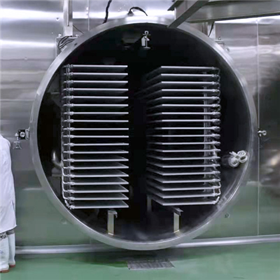 pengering beku untuk susu ibu